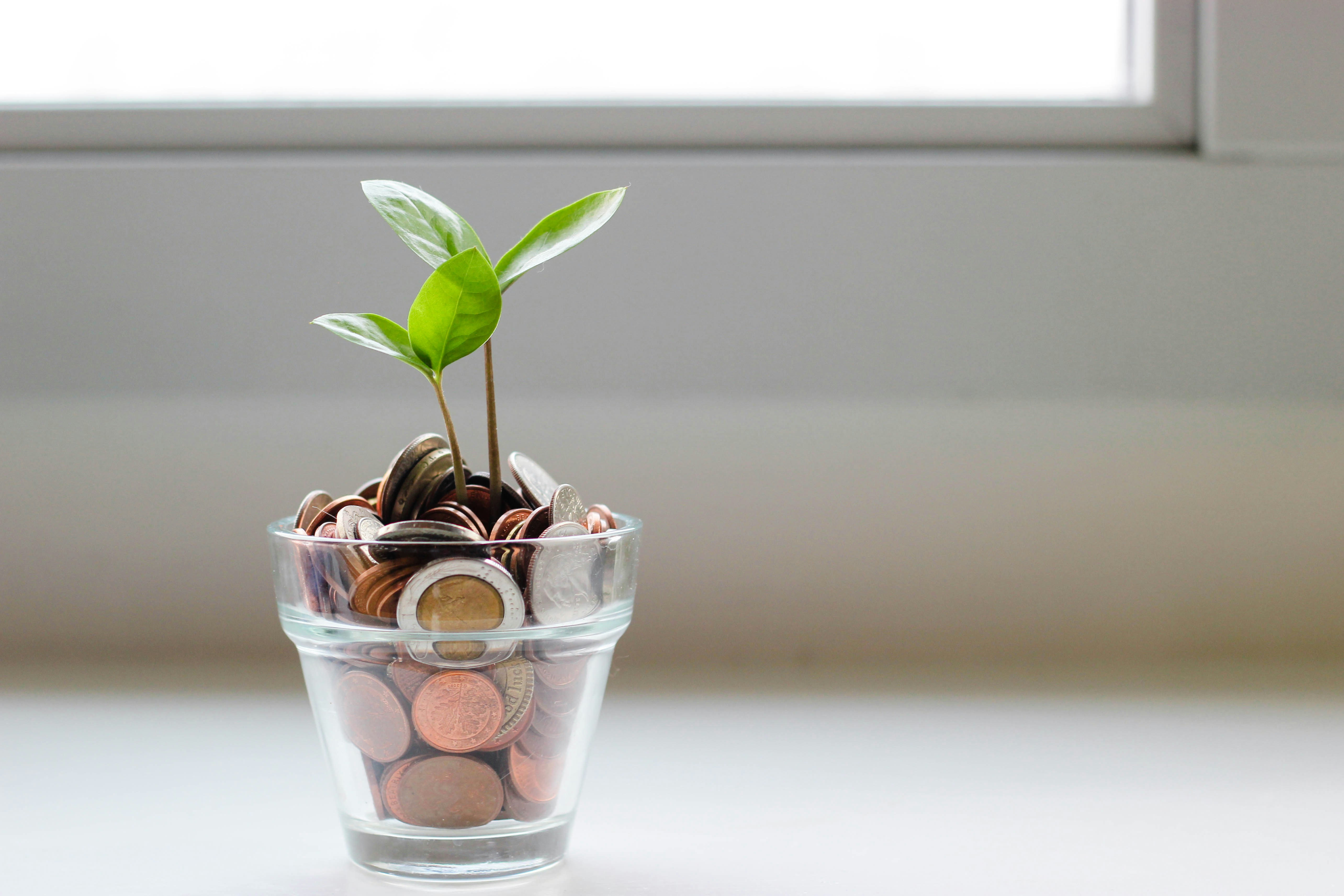 A small plant growing from a glass jar full of coins — sustainable revenue growth